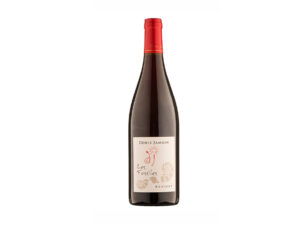 Denis Jamain Les Fossils Reuilly Red Wine